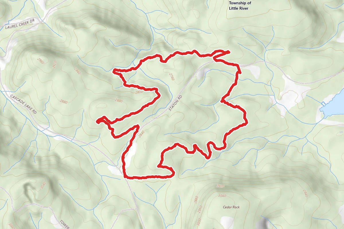 Pine Tree and Cascade Loop