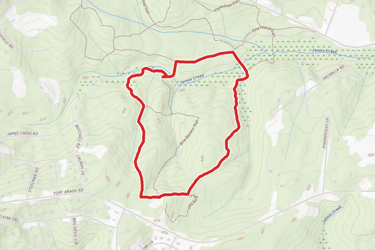 Lighter Swamp, Moccasin Crossing, Pine Barren