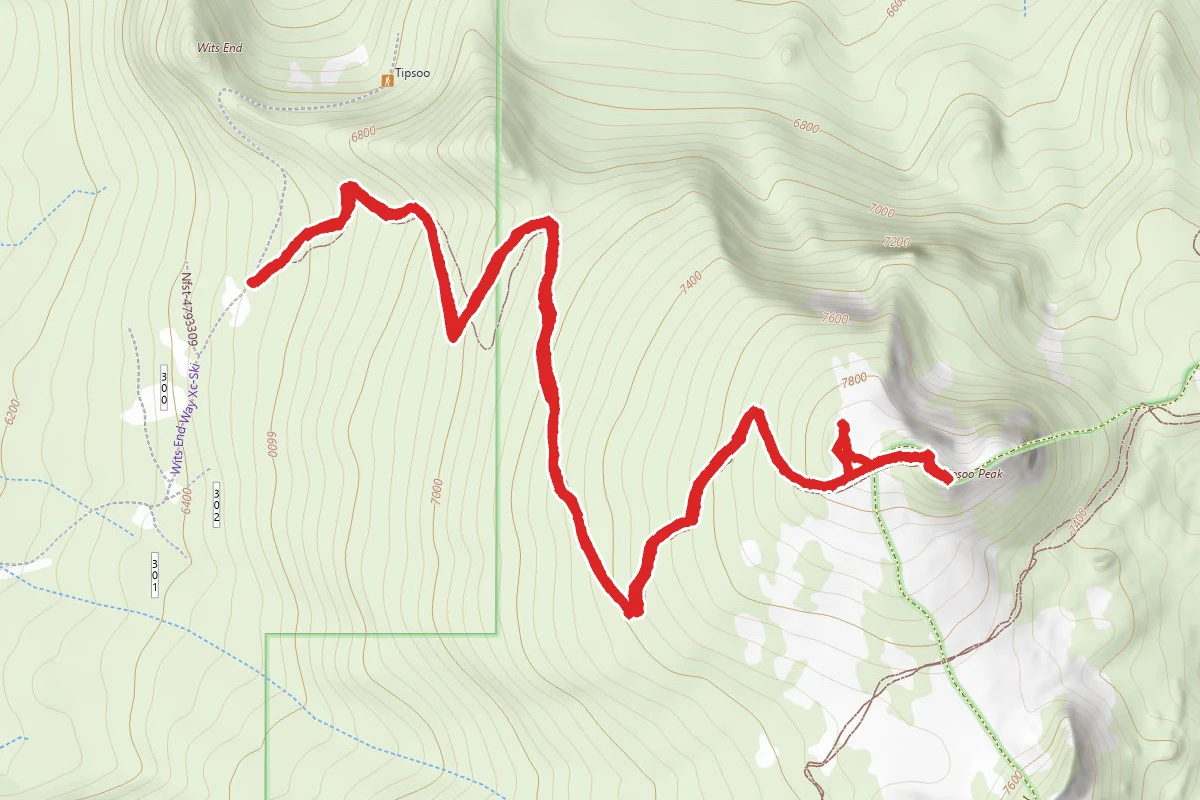 Tipsoo Peak Trail