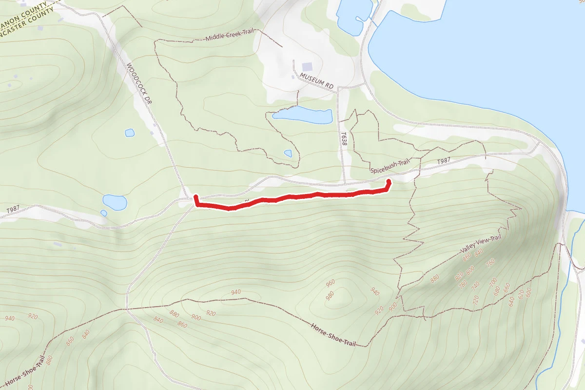 Forestry Demo Trail