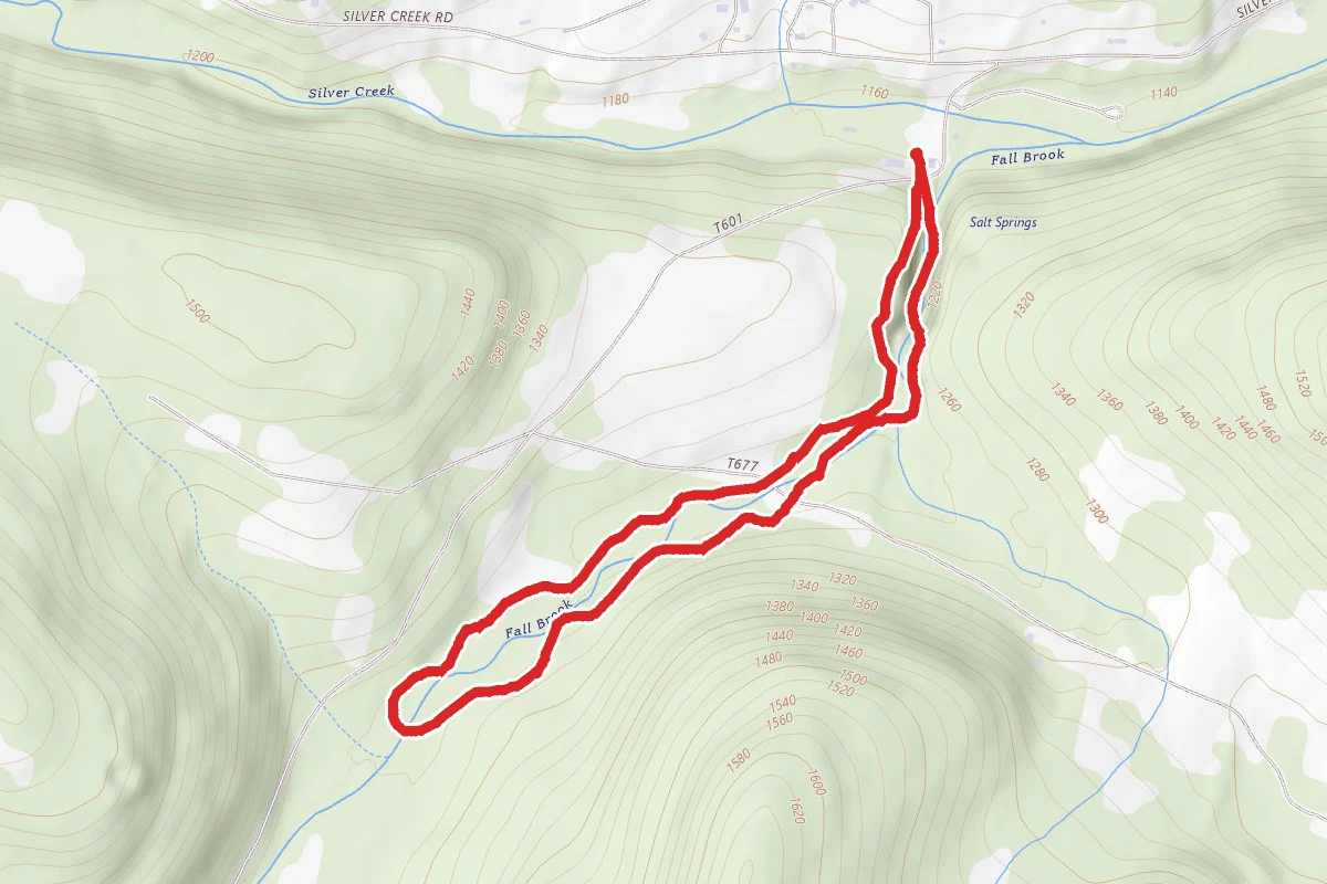 Falls, Wetland, and Gorge Trail Loop