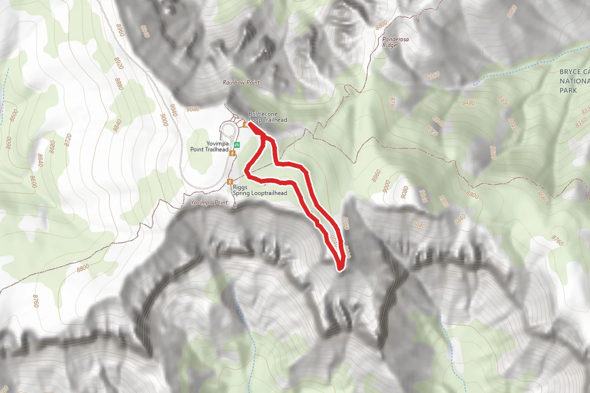 Bristlecone Loop Trail