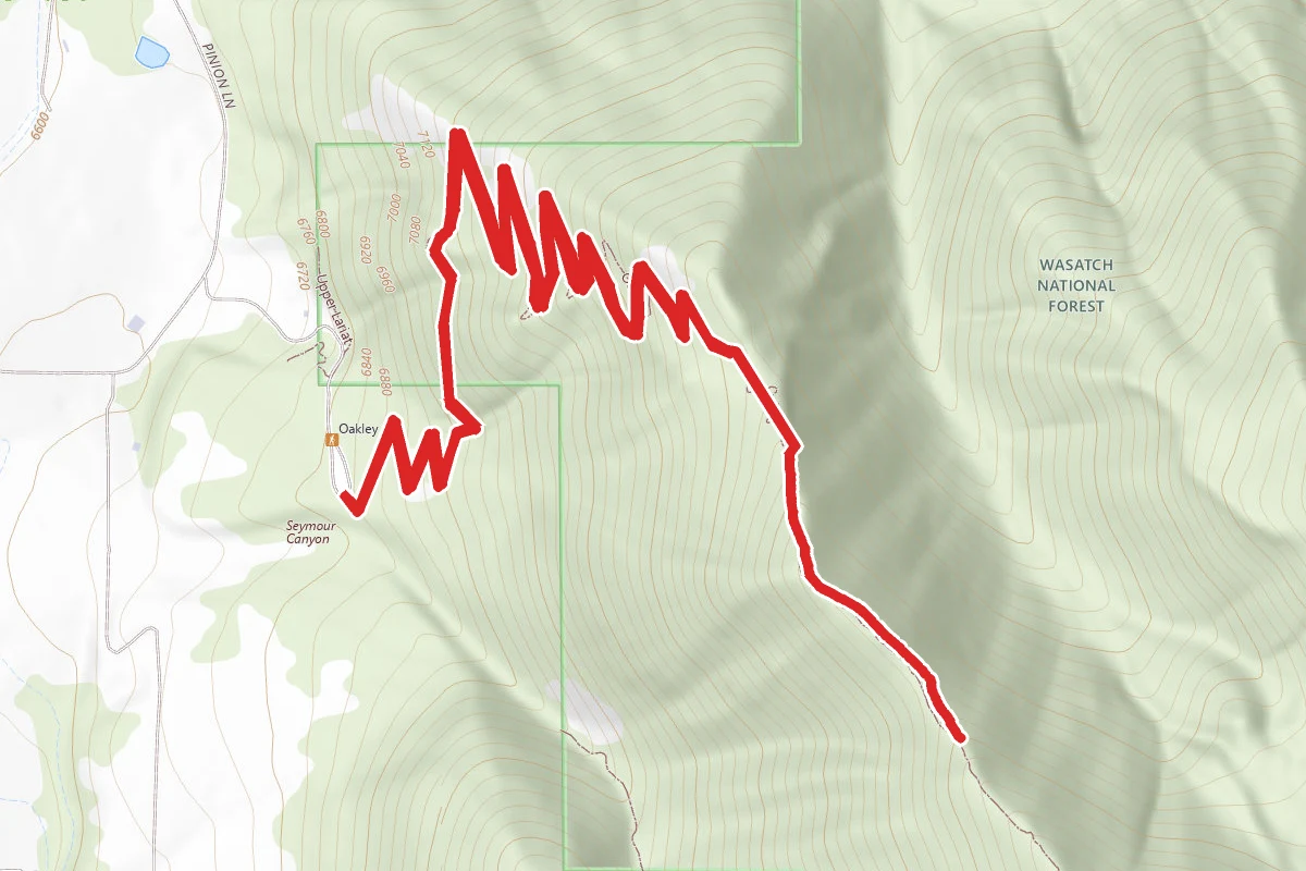 Oakley Ridge Trail