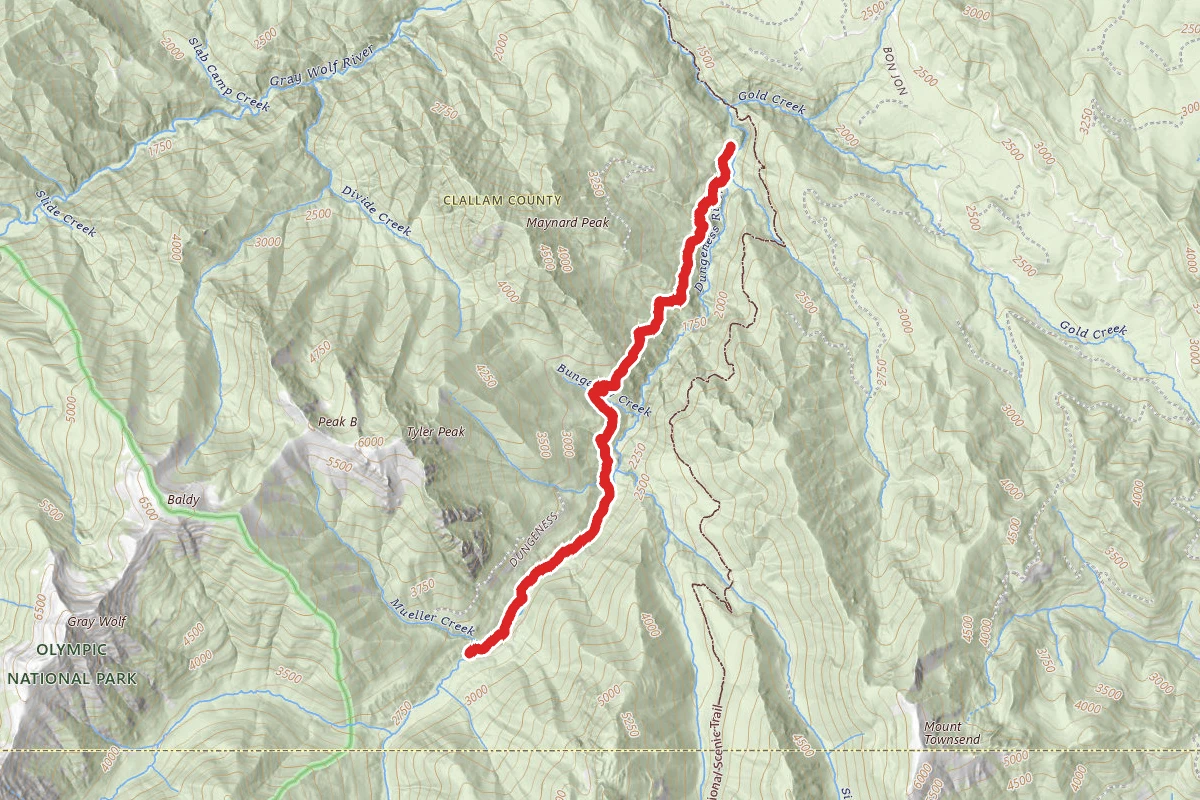 Lower Dungeness Trail