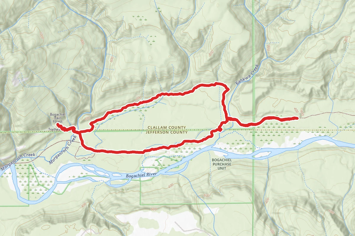 Bogachiel River and Ira Springs Wetland Loop