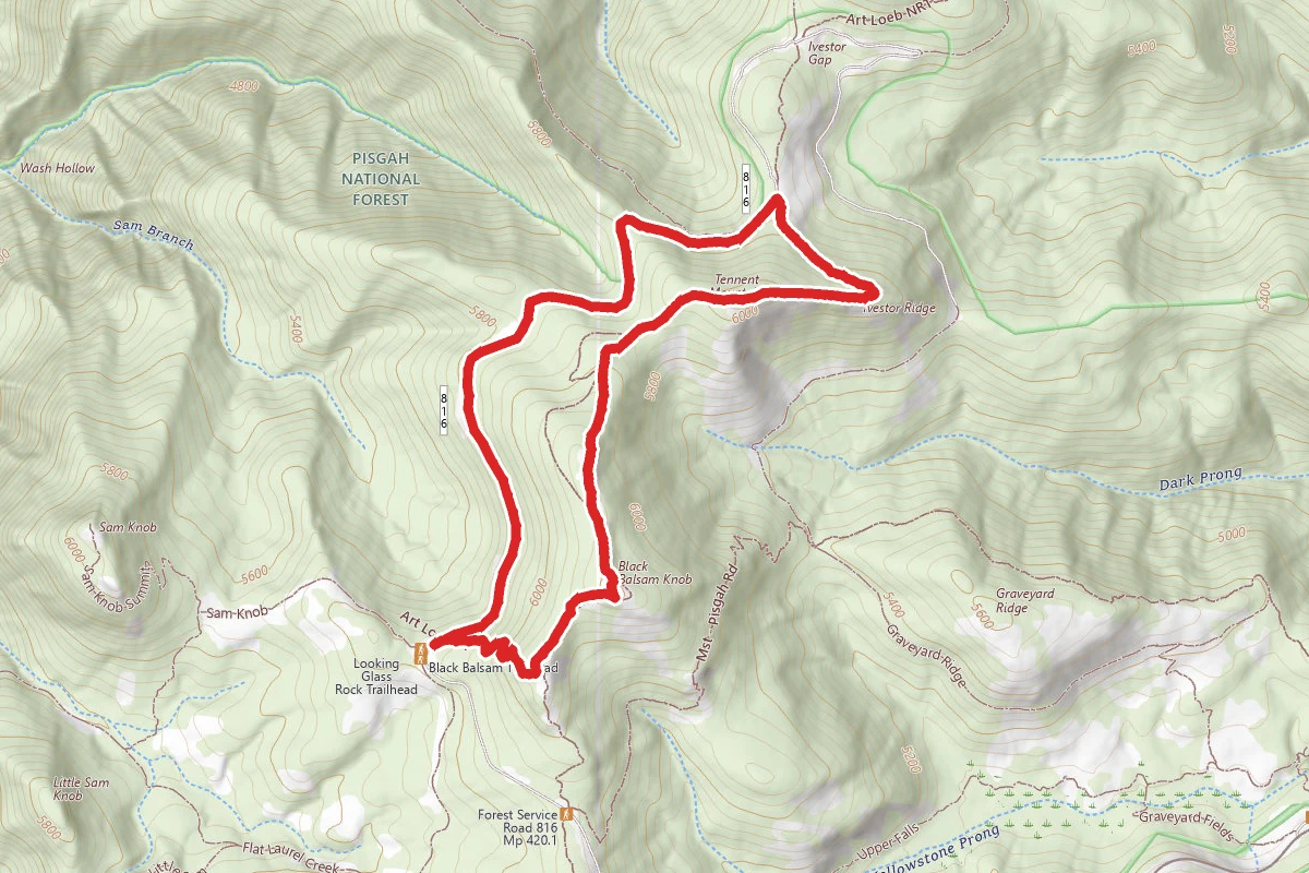 Ivestor Gap Trail to Tennent Mountain and Black Balsam Knob Trail
