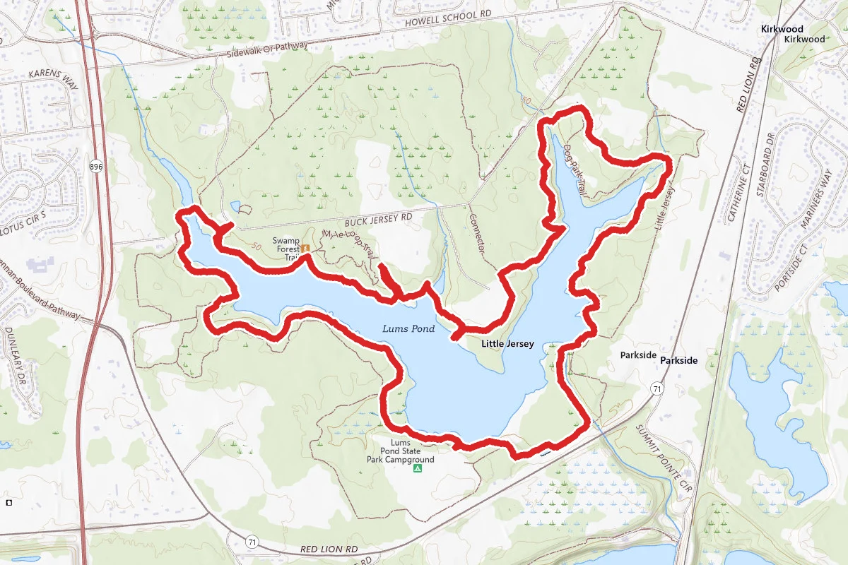 Swamp Forest Trail