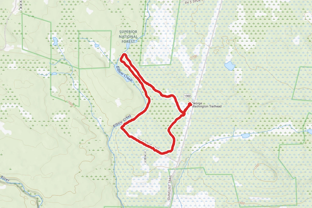 George Washington Memorial Pines Hiking Trail