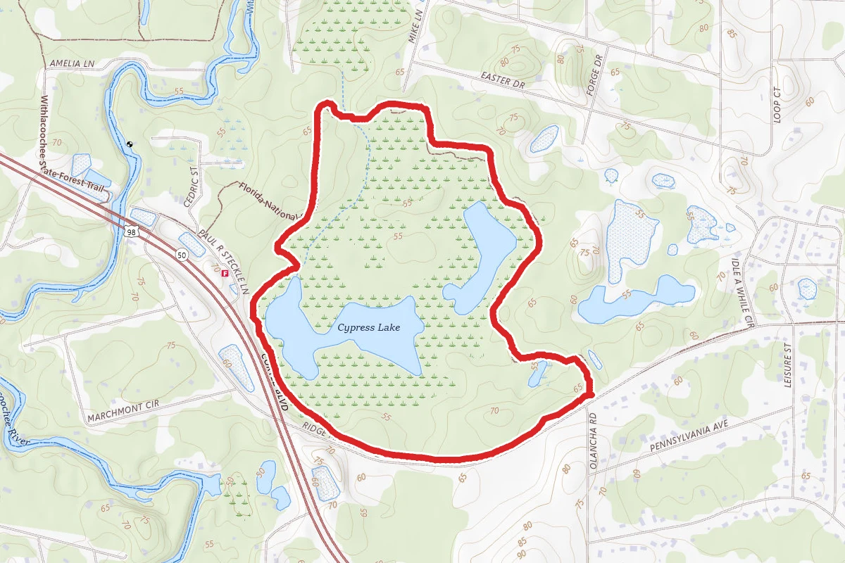Cypress Lakes Preserve