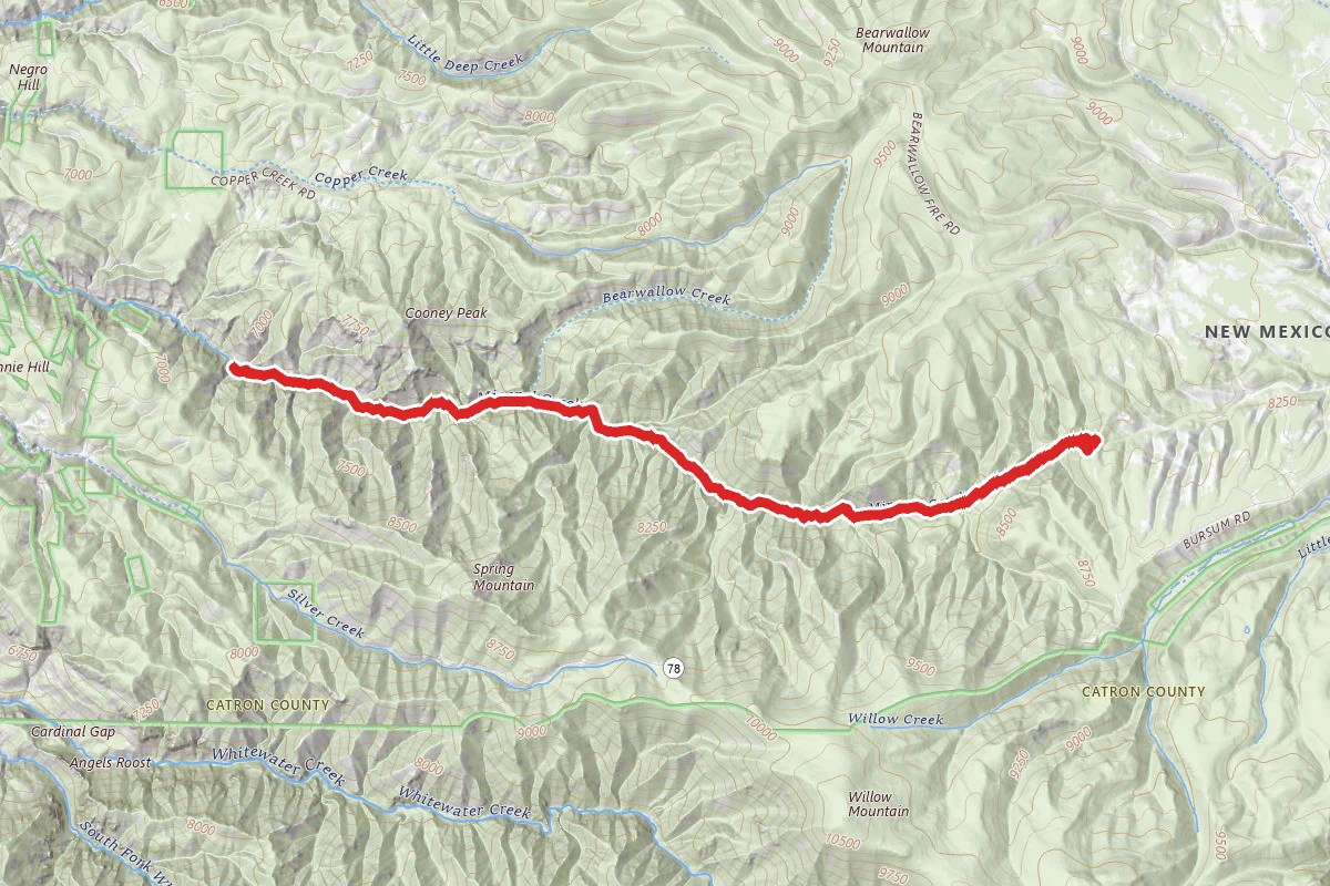 Mineral Creek Trail