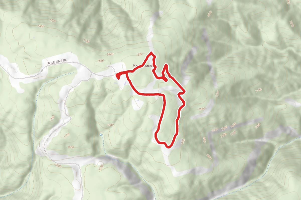 Lower Miller Trail and Ridge Road Loop