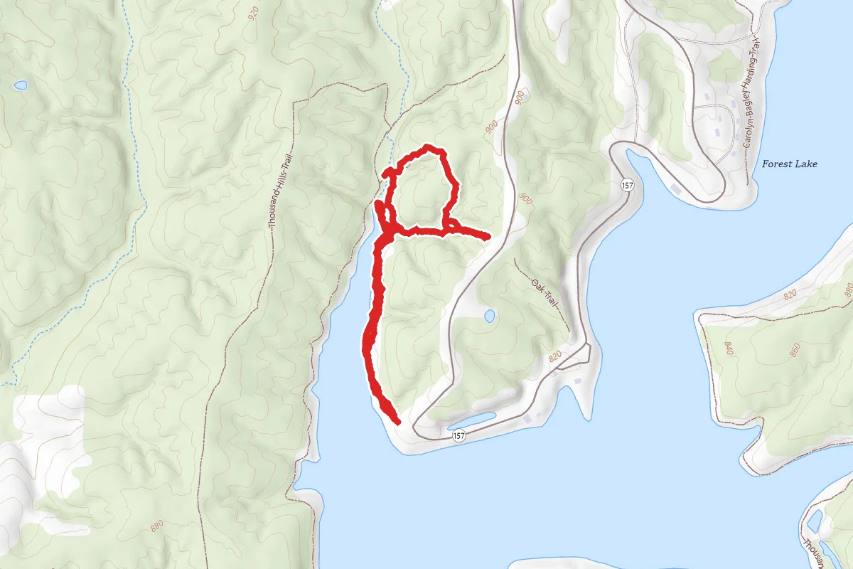 Red Bud Trail