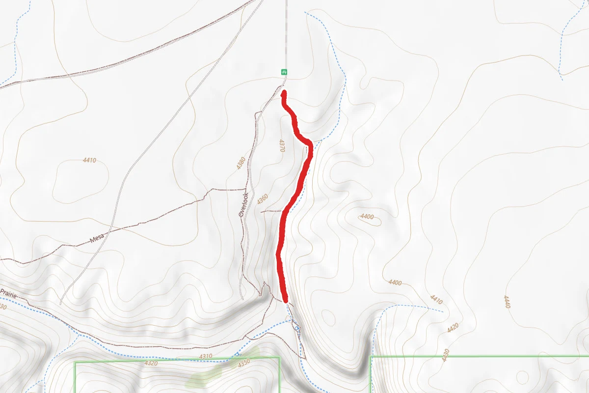 Vogel Canyon Trail