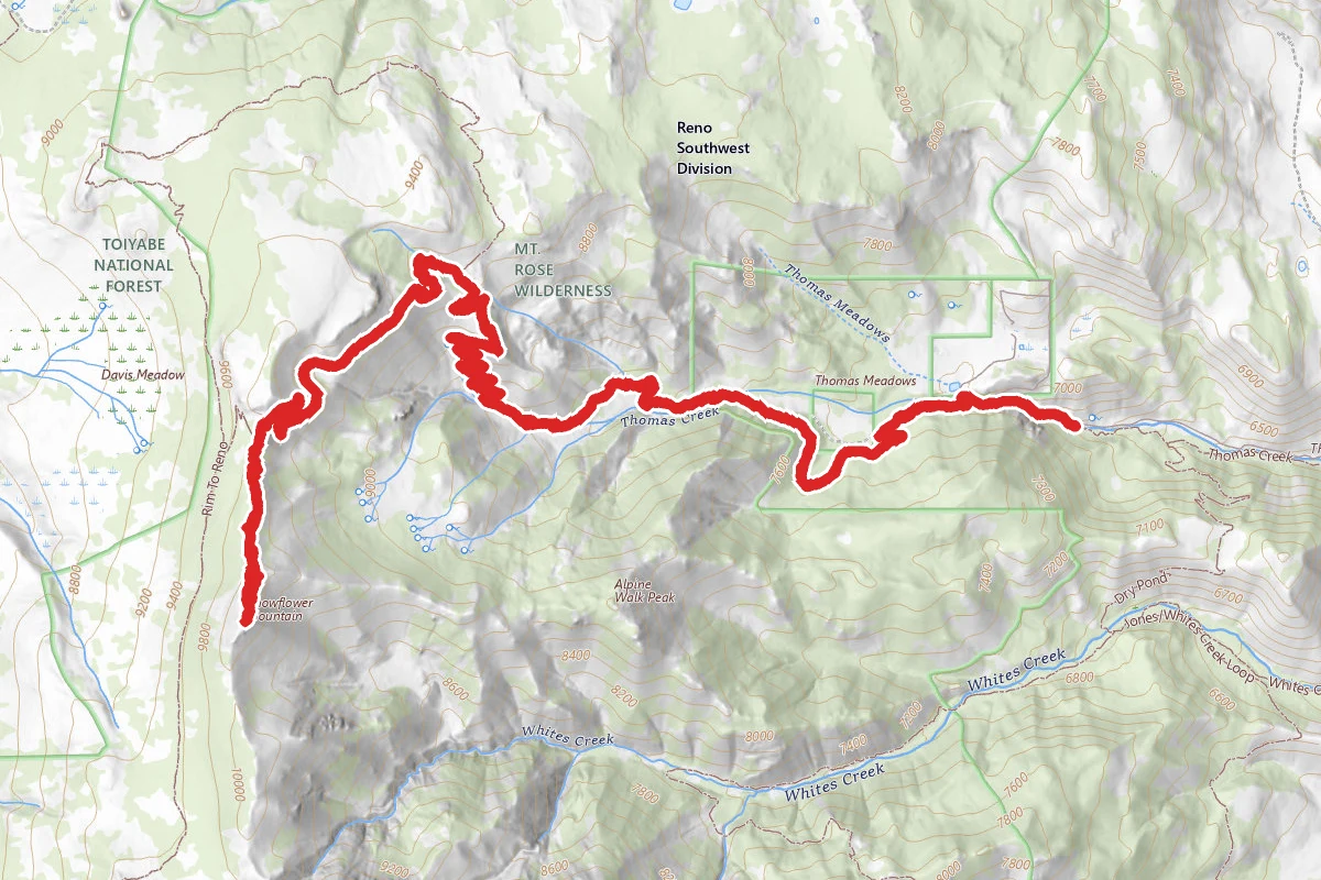 Snowflower Peak via Upper Thomas Creek