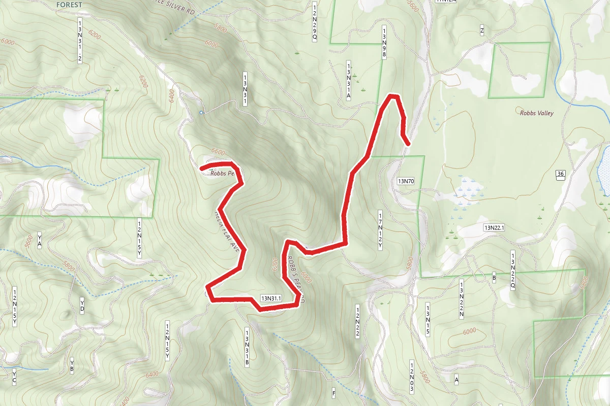 Robbs Peak and Hut Trail