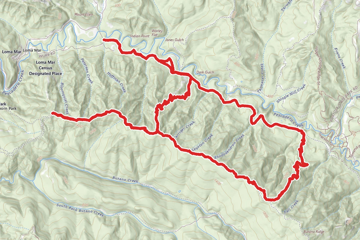 Butano Ridge Loop Trail