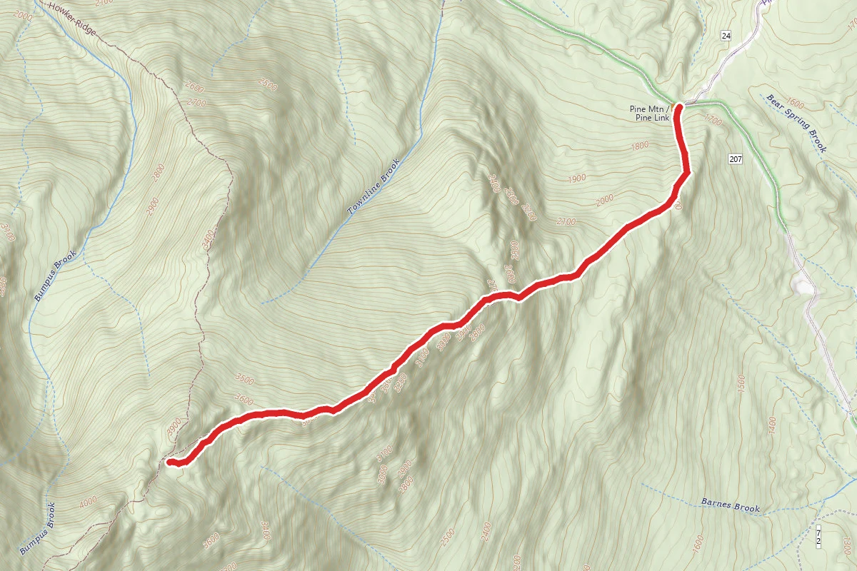 Pine Link Trail