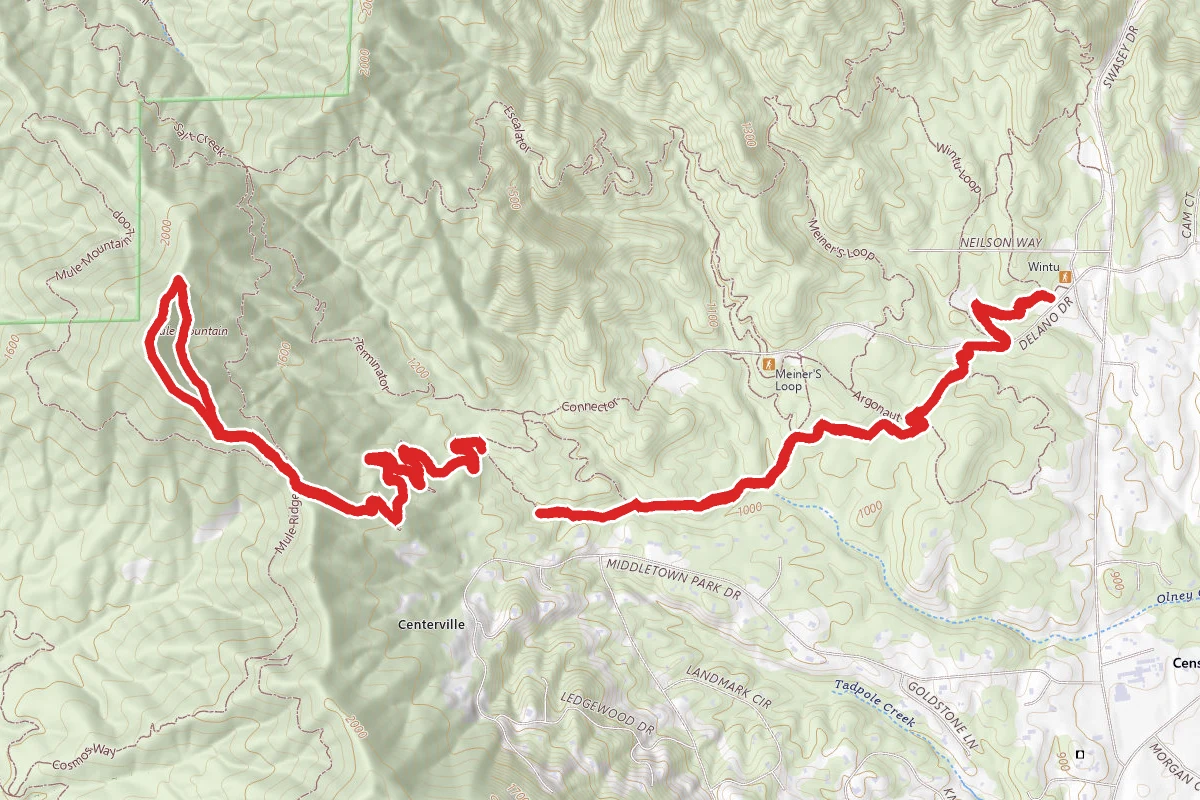 Mule Mountain Pass