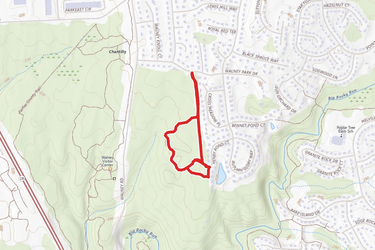 E. C. Lawrence Woodland Trail