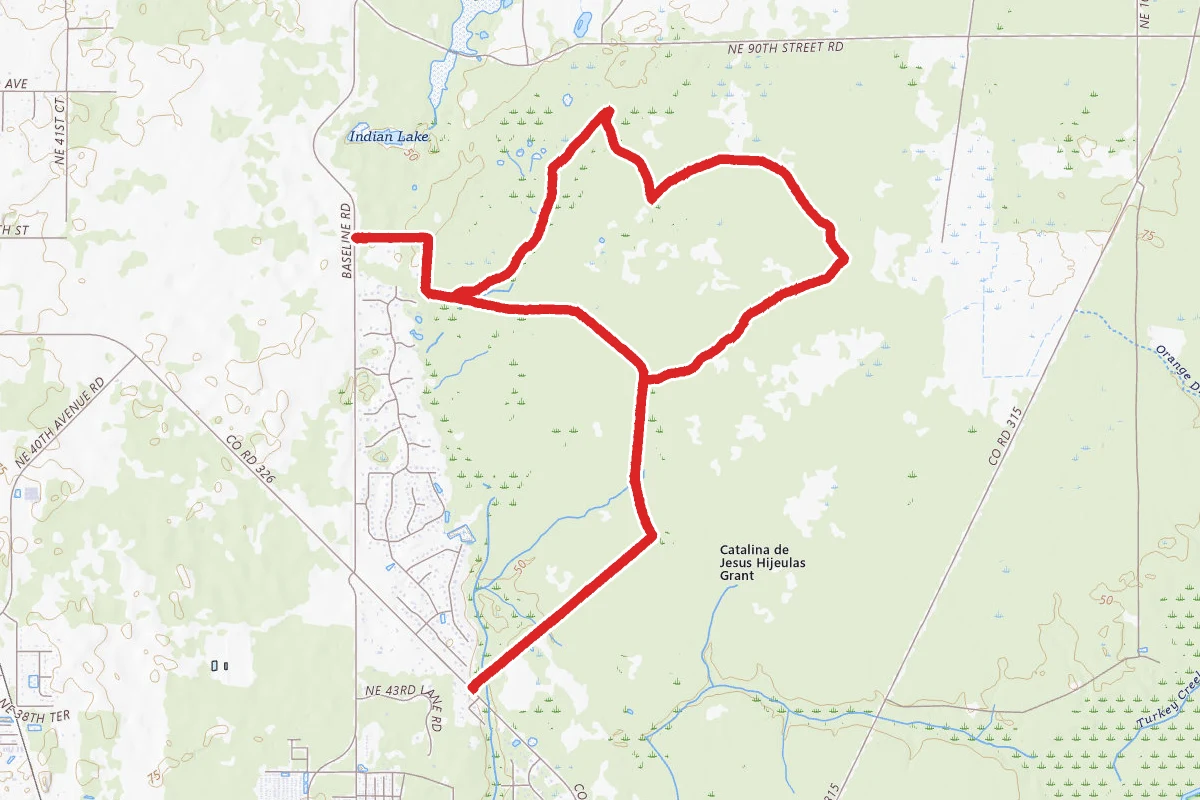 Red Blaze Loop at Silver Springs Forest