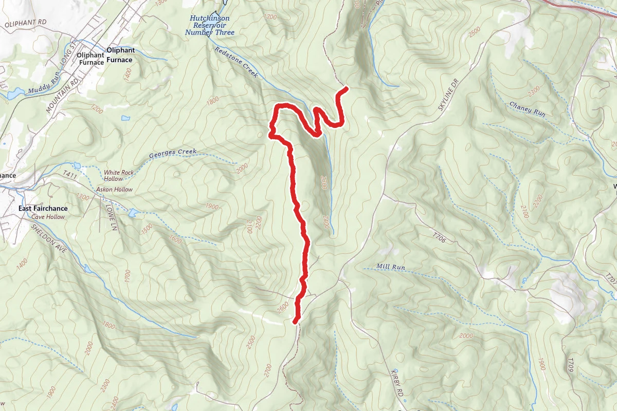 Whitetail Trail