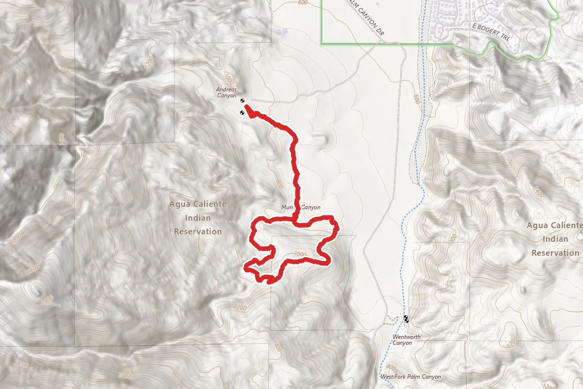 Coffman Trail from Andreas Canyon Rd
