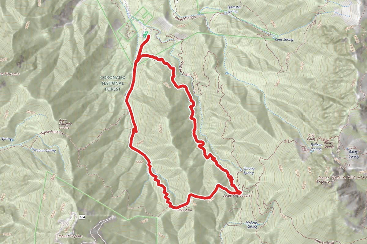 Carrie Nation Loop