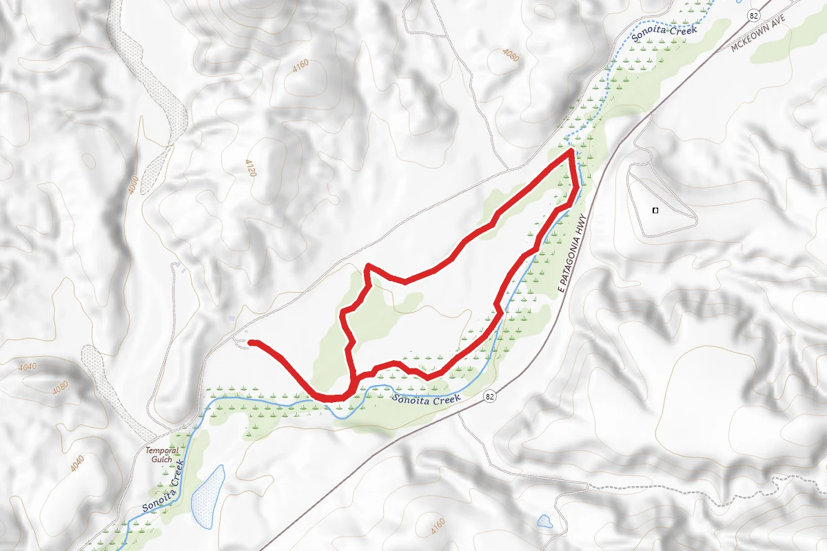 Patagonia-Sonoita Creek Preserve
