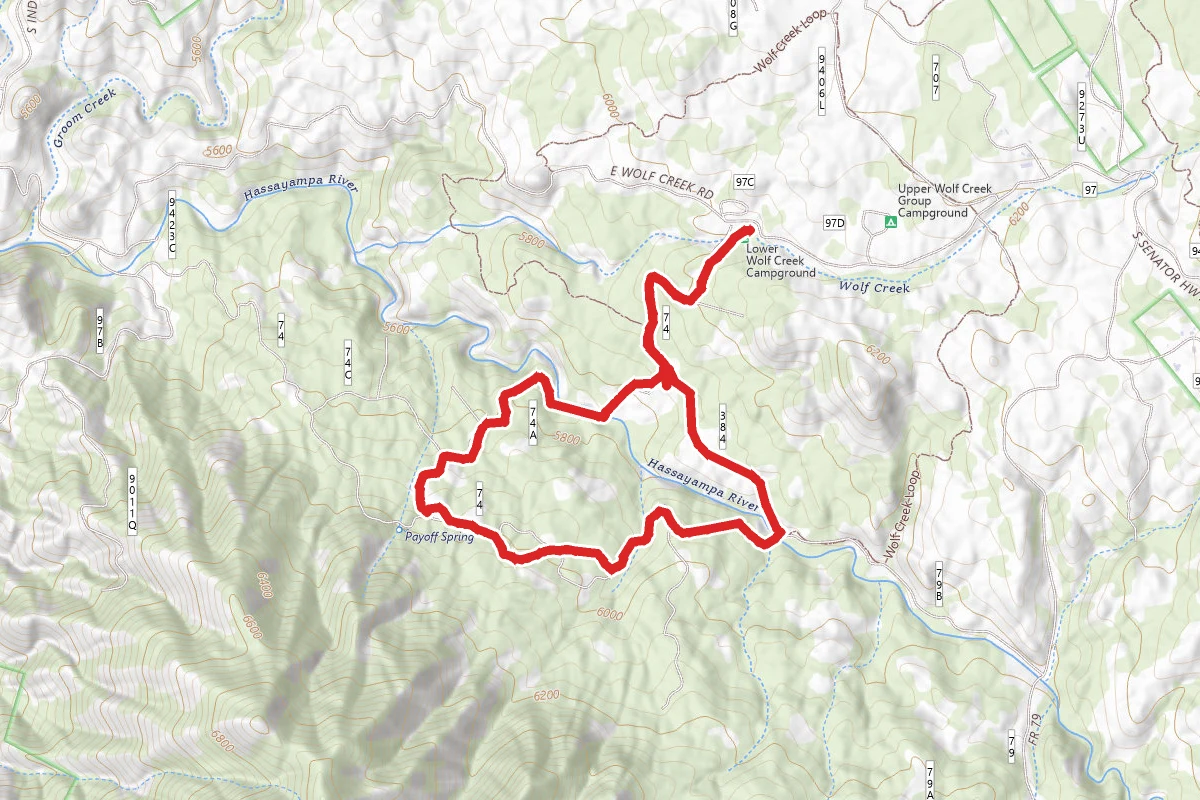 Forest Road 74A Loop