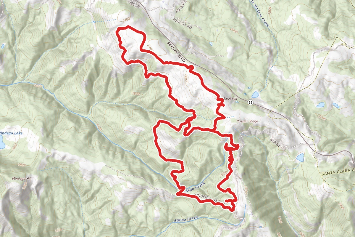 Ancient Oaks, Mindego Hill, and Ridge Trail Loop