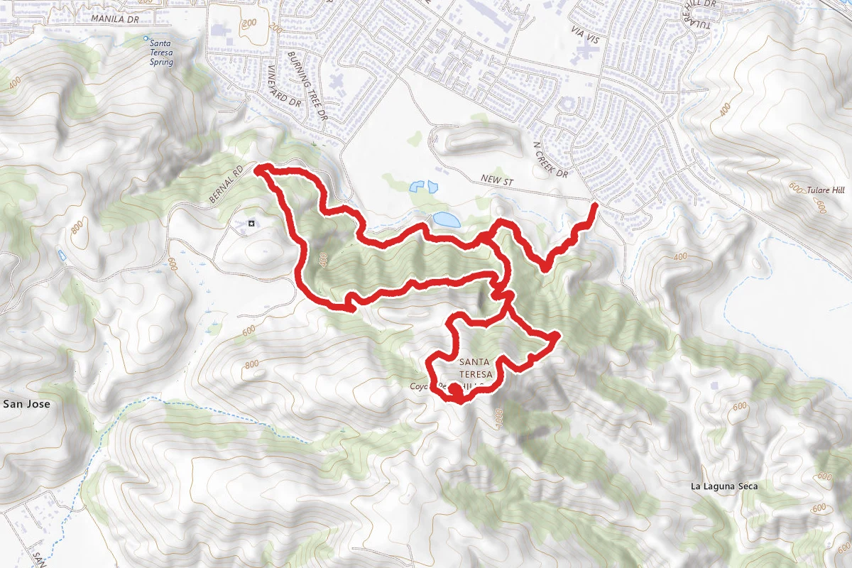 Ohlone To Coyote Peak Loop