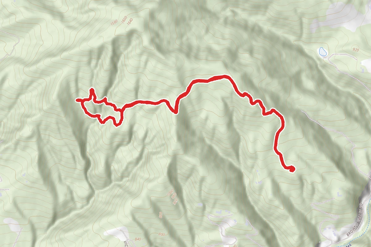 Byrne-Milliron Trail