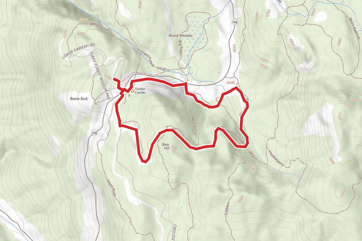 Bear Hill Trail