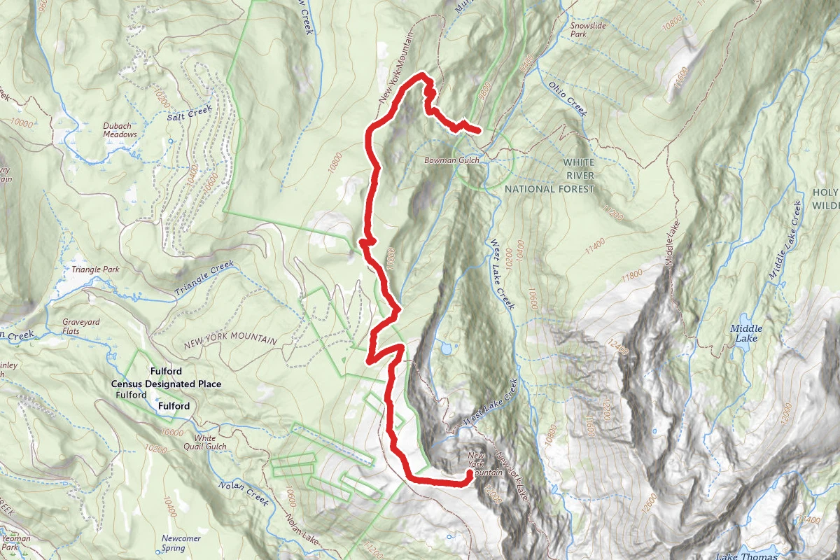 New York Mountain Trail