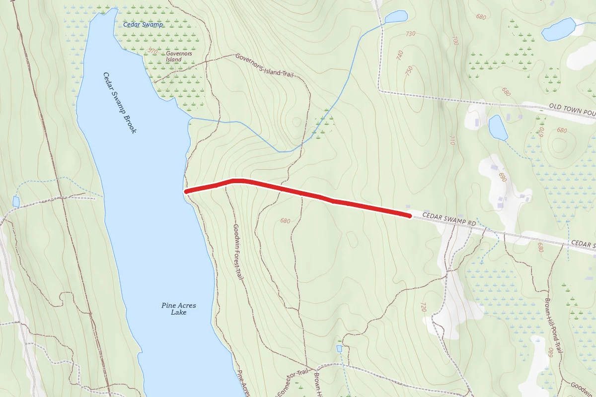 Cedar Swamp Trail
