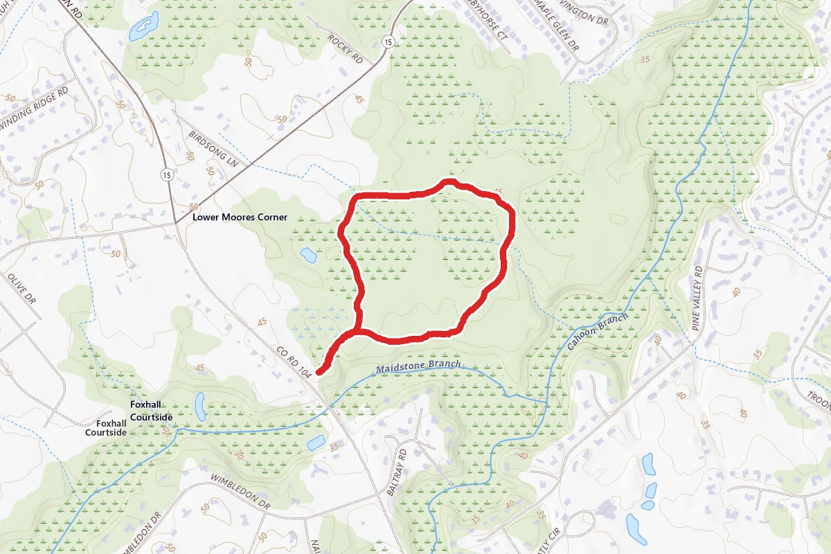 Fork Branch Nature Preserve Loop