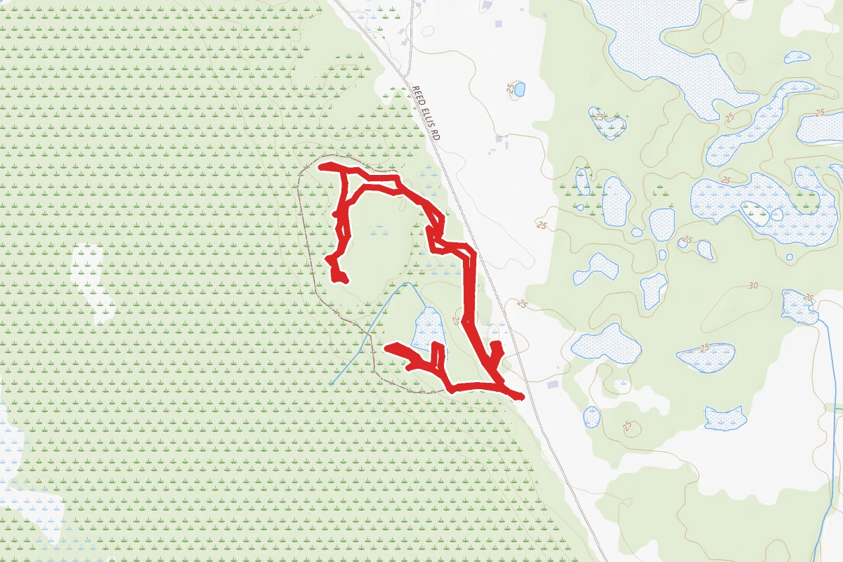 Brickyard Slough Trail