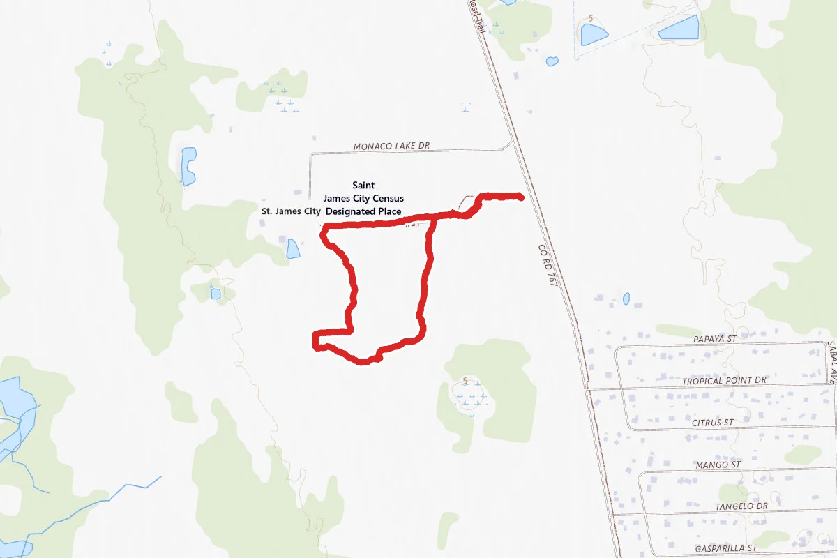 Pine Island Flatwoods Preserve