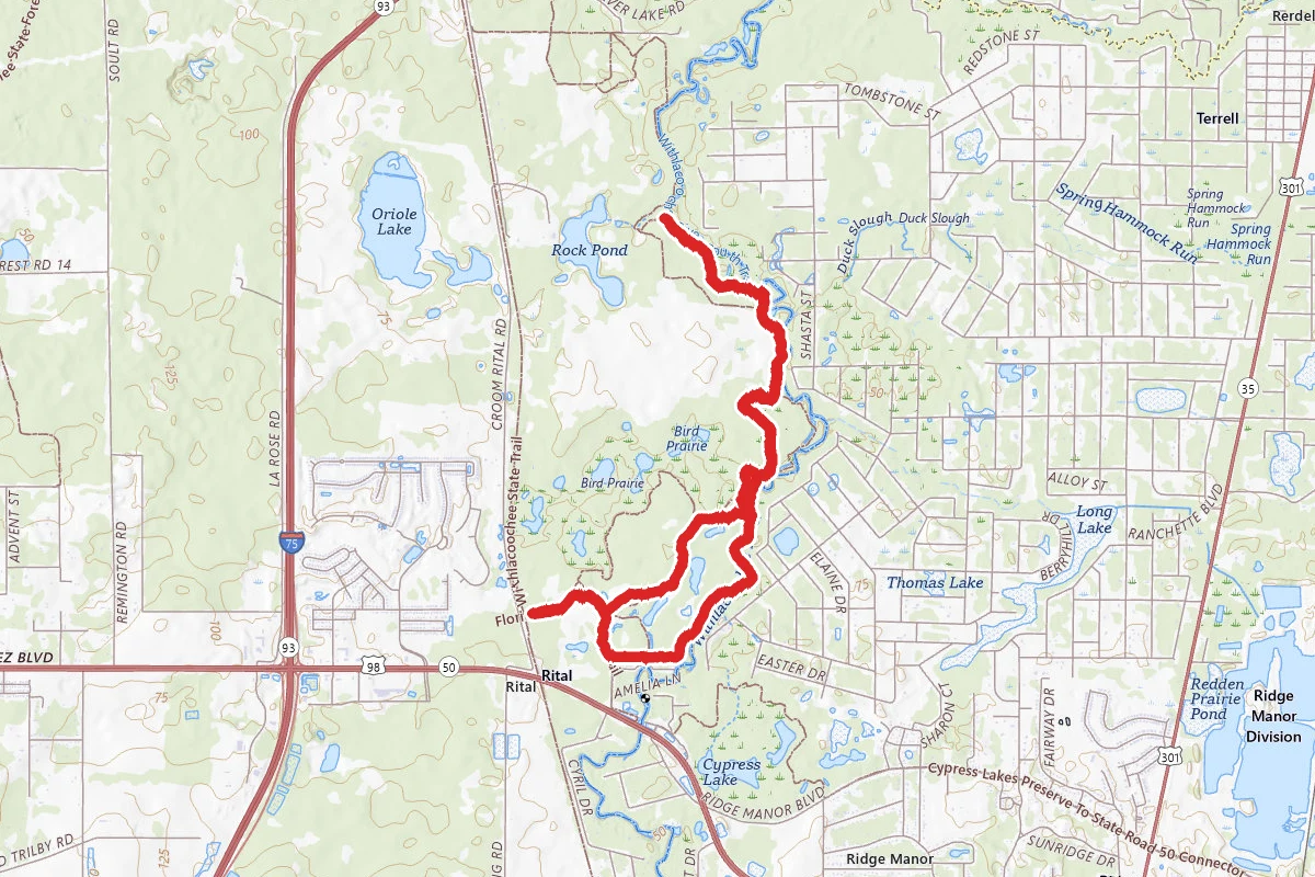Withlacoochee River Extended Trail