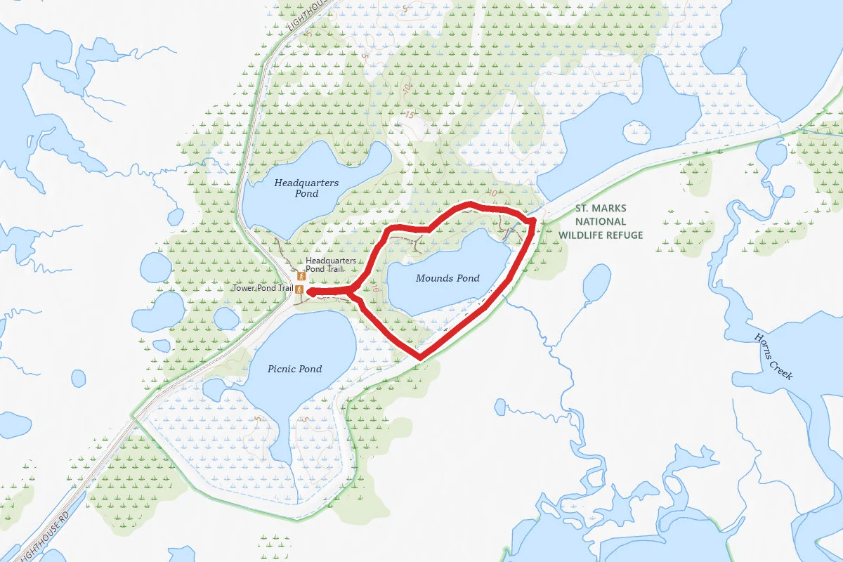 Tower Pond Interpretative Trail