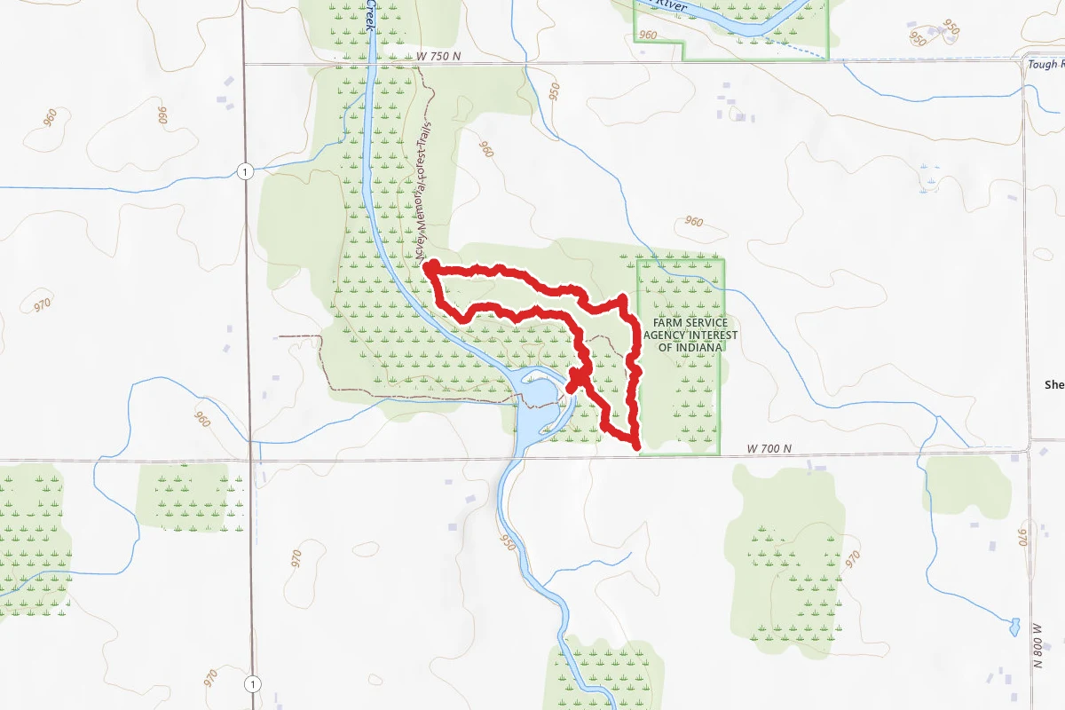 McVey Memorial Forest