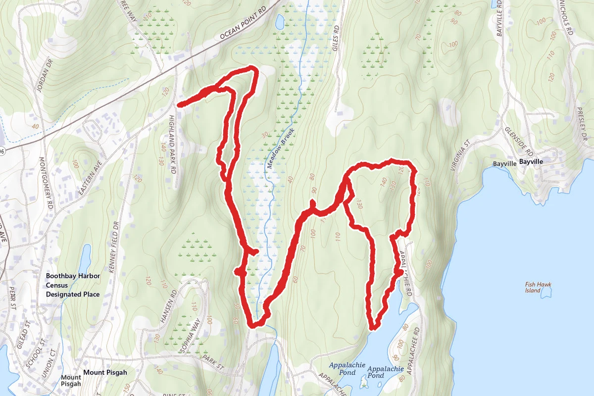 Lobster Cove Meadow