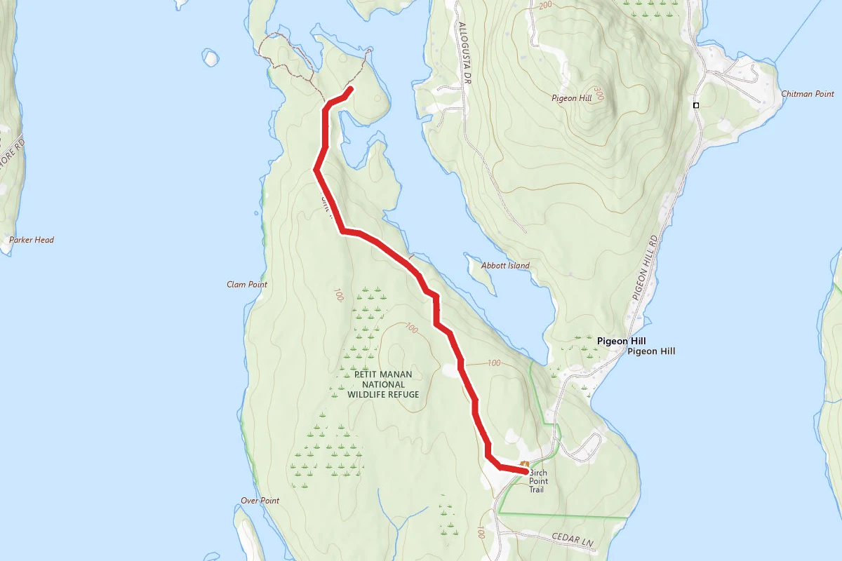 Birch Point Trail