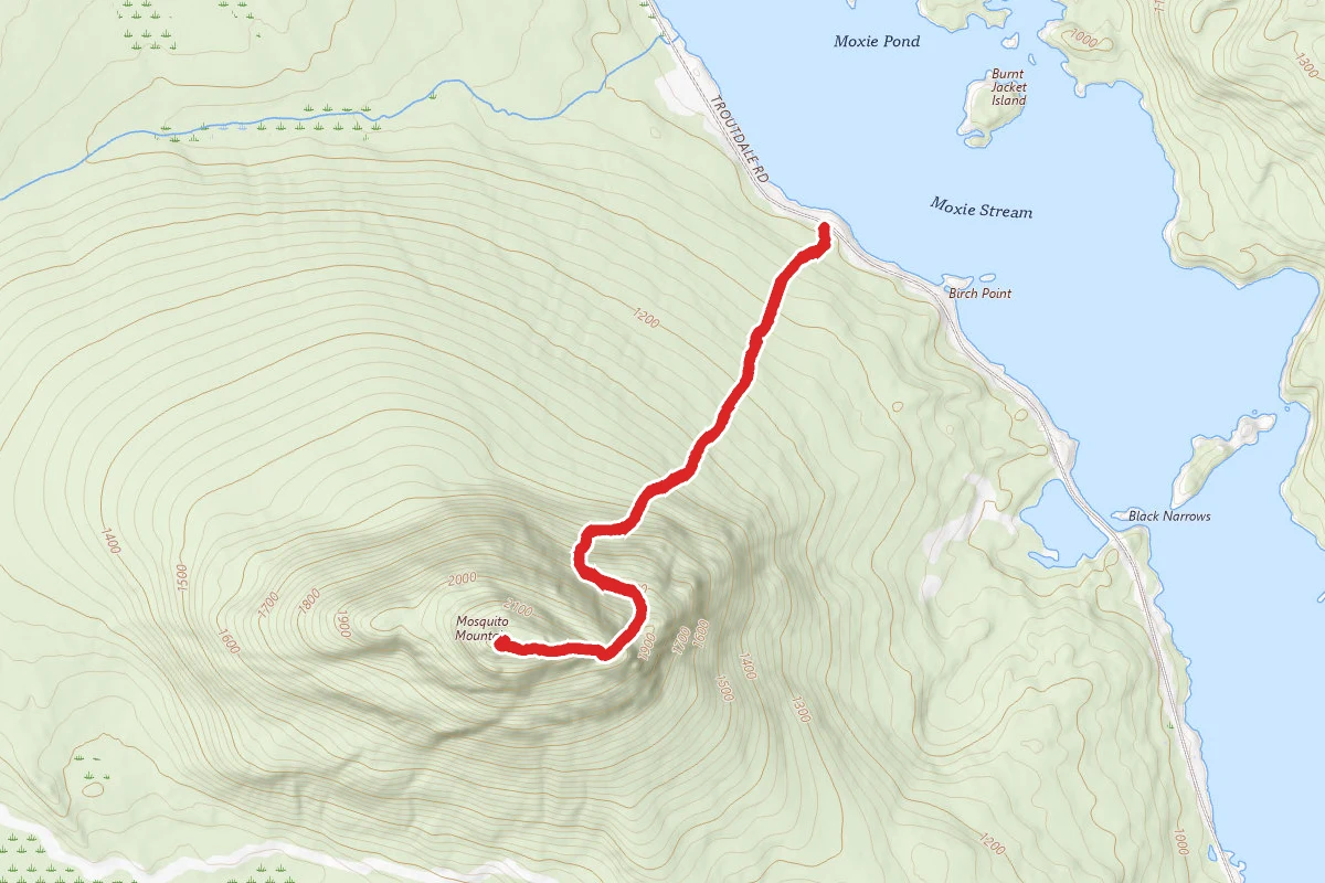 Mosquito Mountain Trail