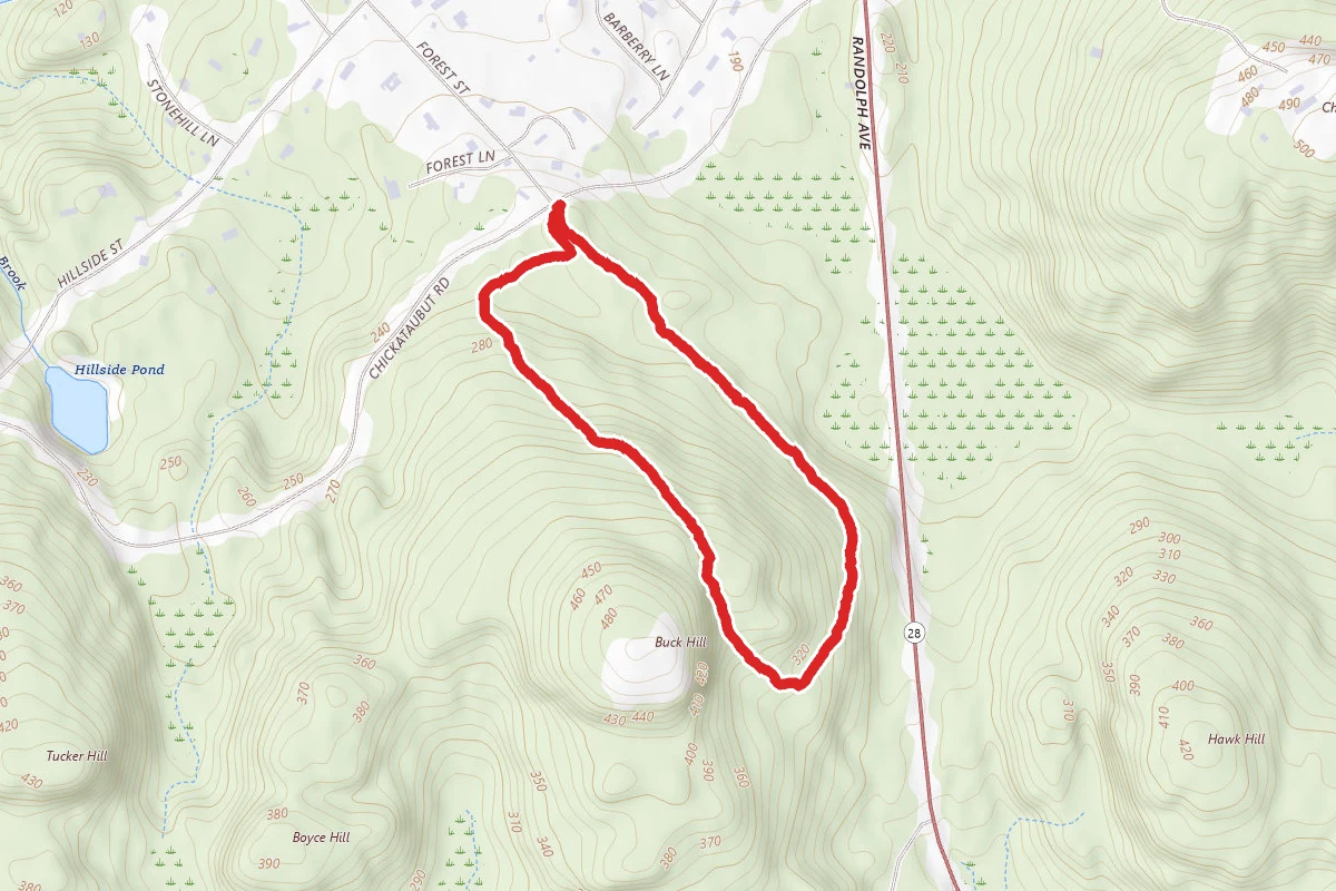 Buck Hill Path Loop