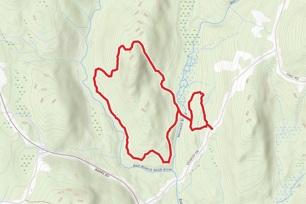 Harvard Forest Trail