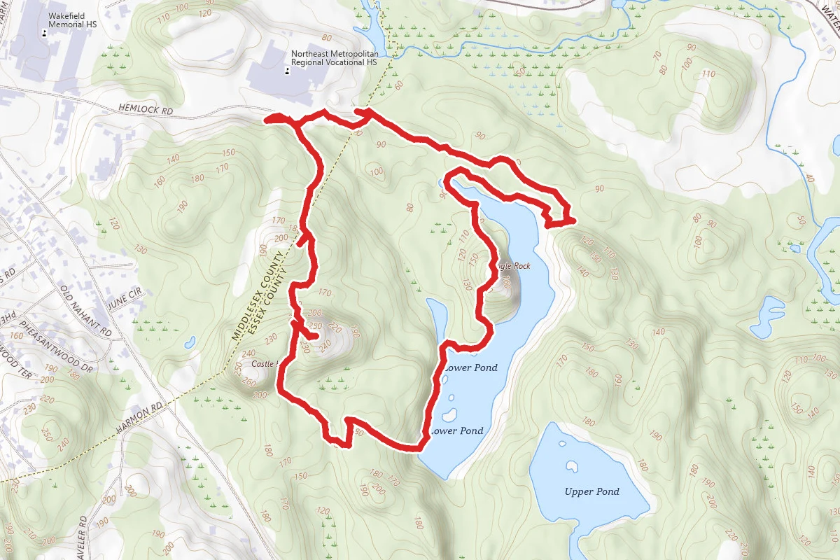 Pearce Lake Beach and Ridge Trail Loop