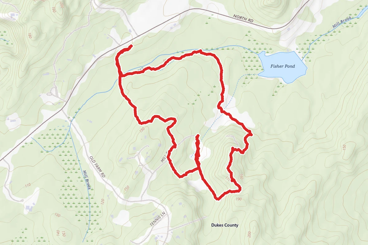 Waskosim's Rock Reservation (Chilmark)