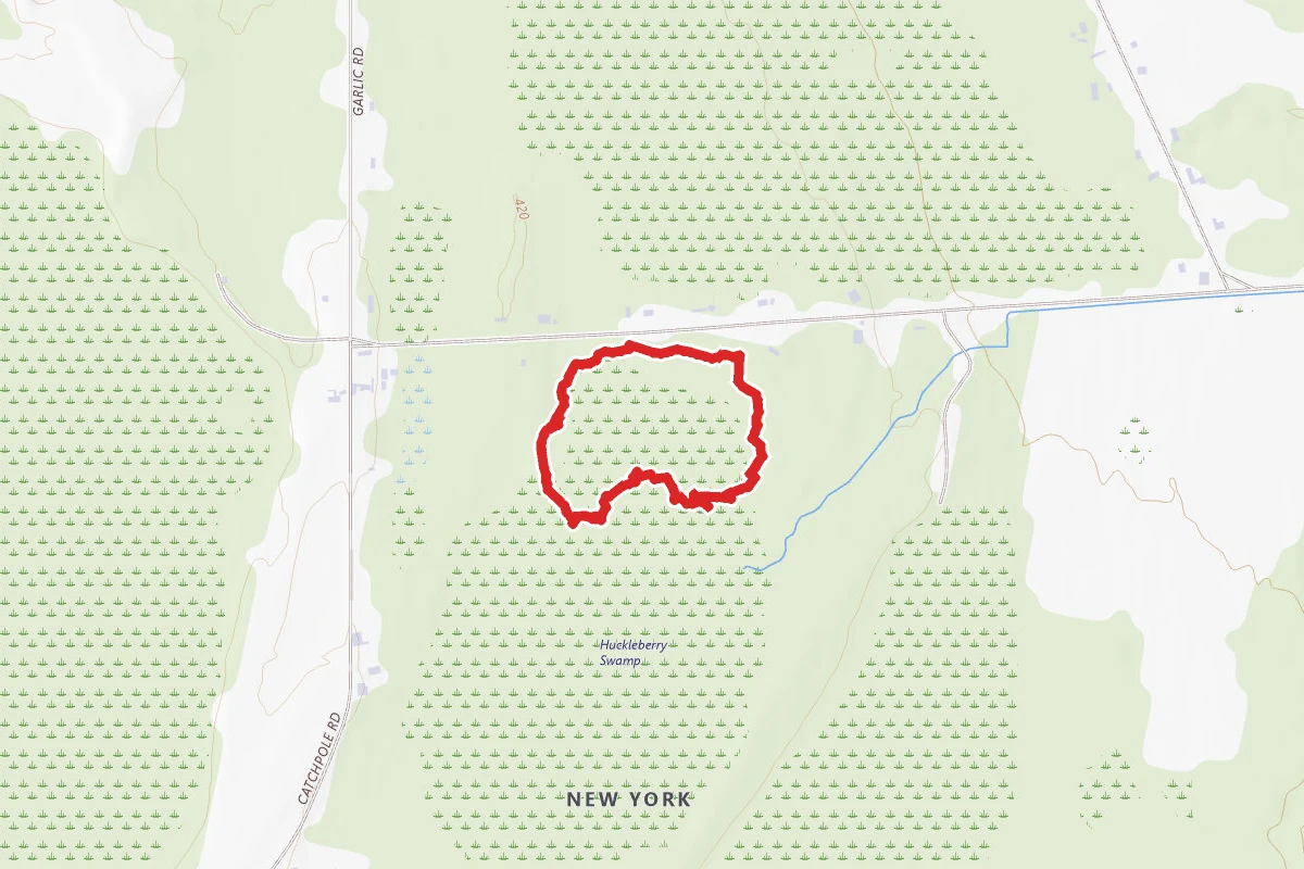 Huckleberry Swamp Trails