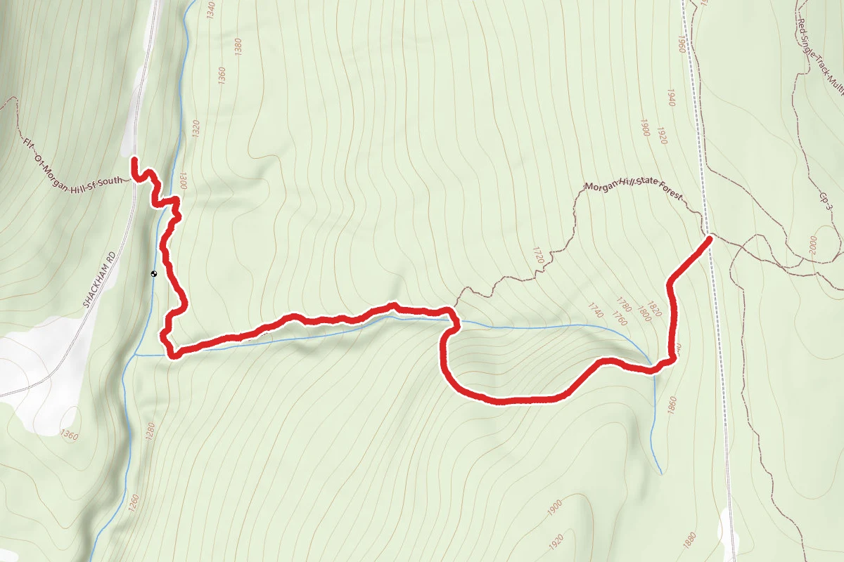Hemlock Glen